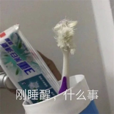 2025表情包最火头像图片