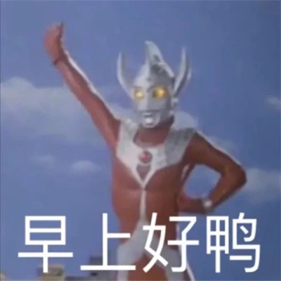 2025表情包最火头像图片