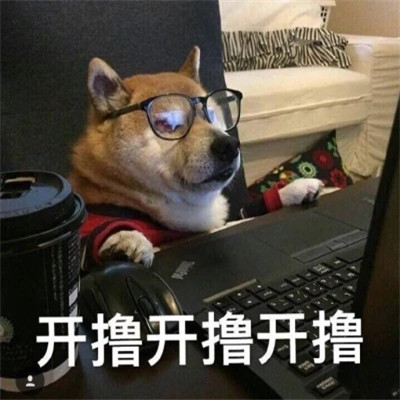 2025表情包最火头像图片