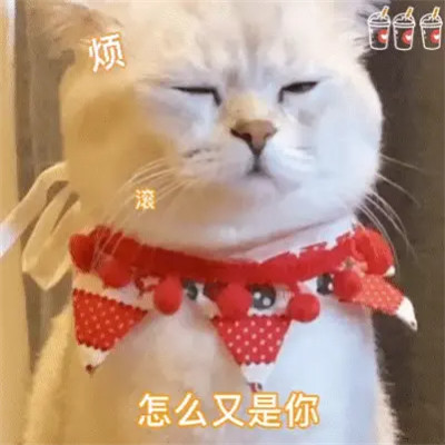 2025表情包最火头像图片