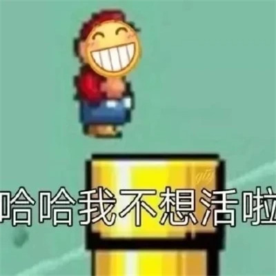 2025表情包最火头像图片