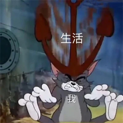2025表情包最火头像图片