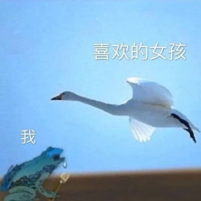 2025表情包最火头像图片