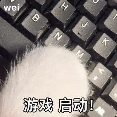 2025表情包最火头像图片
