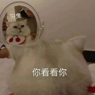 2025年表情包图片最新版