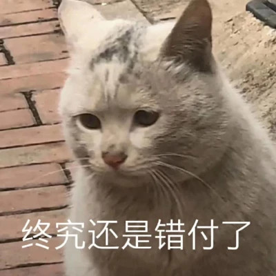 2025年表情包图片最新版