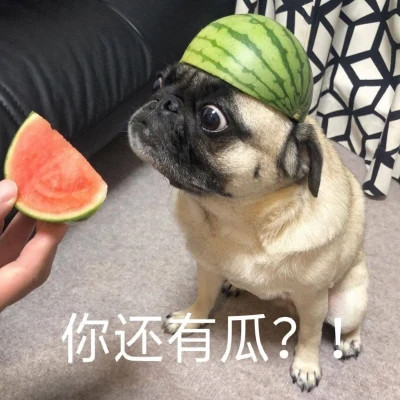 2025年表情包图片最新版