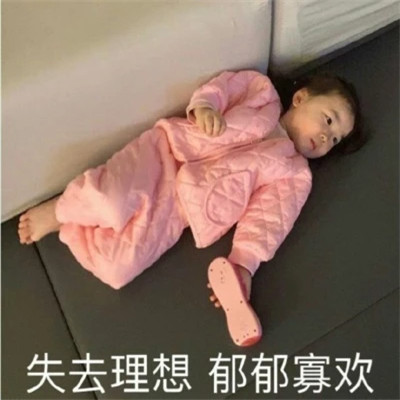 2025年表情包图片最新版