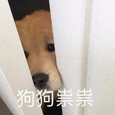 2025年表情包图片最新版
