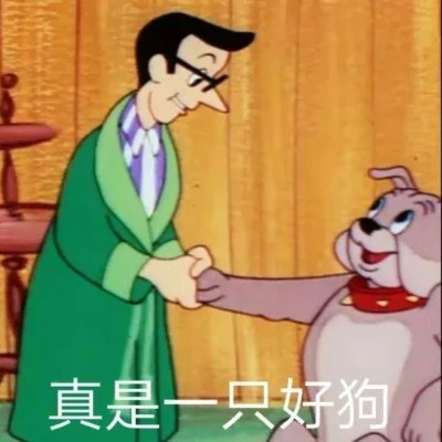 2025年表情包图片最新版