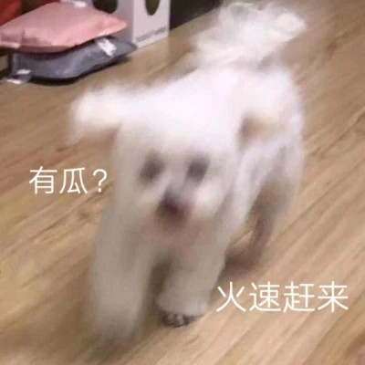 2025年表情包图片最新版