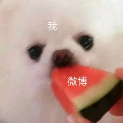 2025年表情包图片最新版