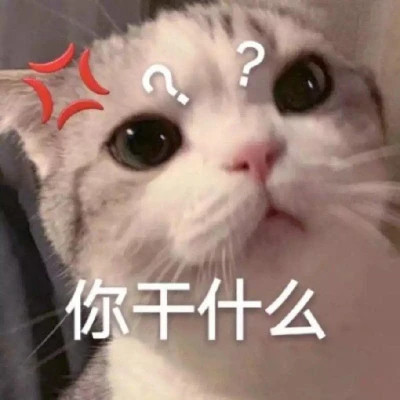 2025年表情包图片最新版