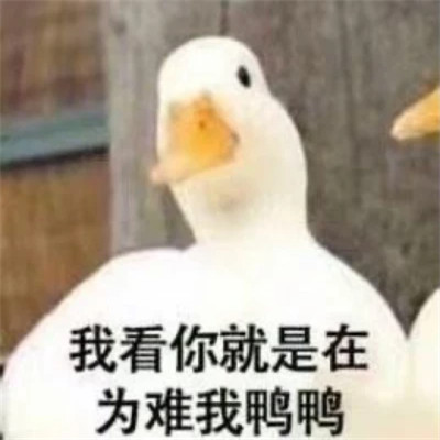 2025年表情包图片最新版