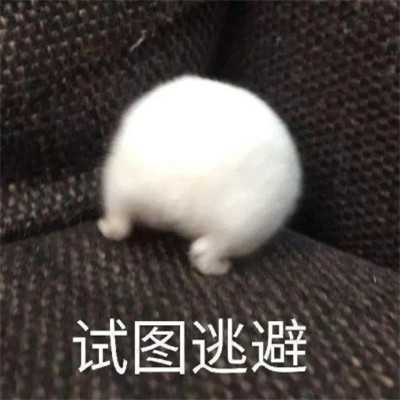 2025年表情包图片最新版
