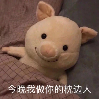 2025年表情包图片最新版