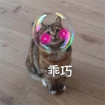 2025年表情包图片最新版