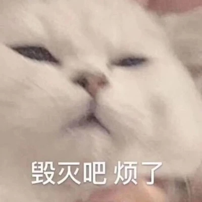 2025微信表情包可爱搞笑