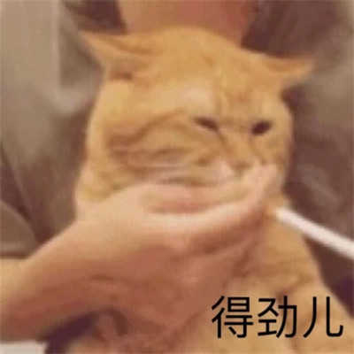 2025微信表情包可爱搞笑
