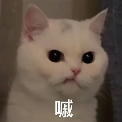 2025微信表情包可爱搞笑