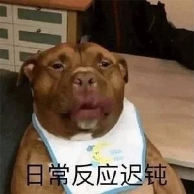 2025微信表情包可爱搞笑