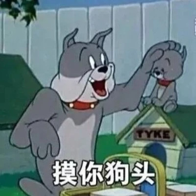 2025微信表情包可爱搞笑