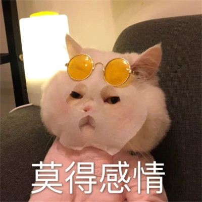 2025微信表情包可爱搞笑