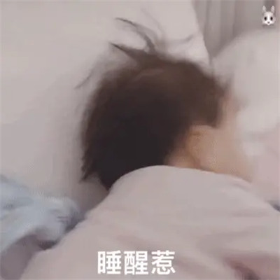 2025微信表情包可爱搞笑
