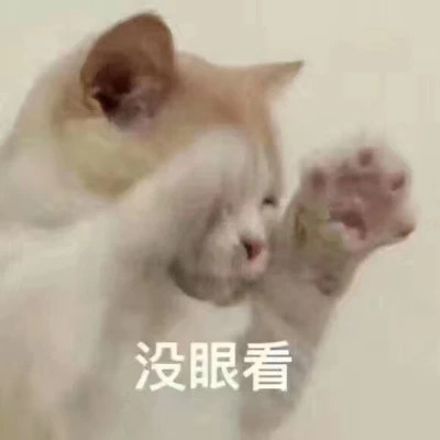 表情包大全2025