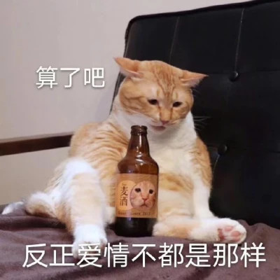 表情包大全2025