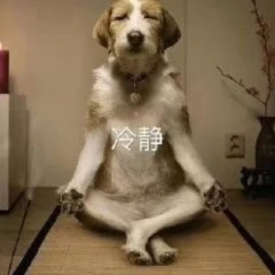表情包大全2025