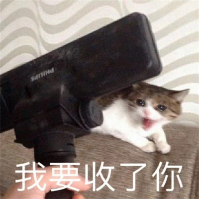 表情包大全2025