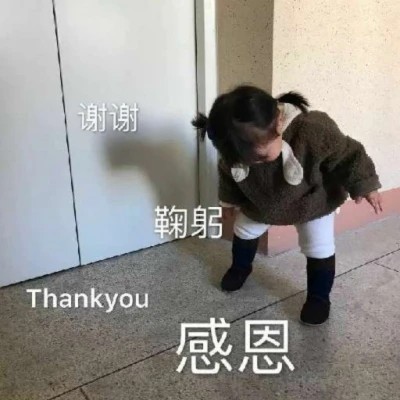表情包大全2025