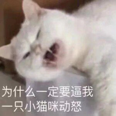 表情包大全2025