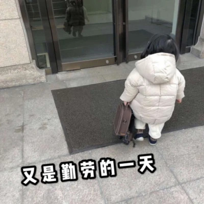 表情包大全2025