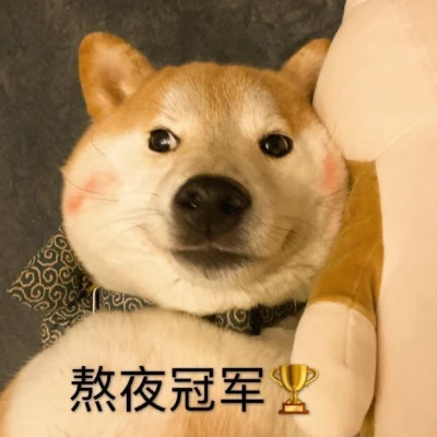 表情包大全2025