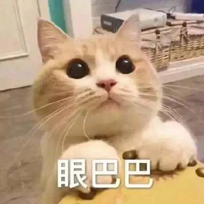 表情包大全2025
