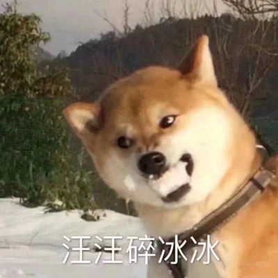 表情包大全2025