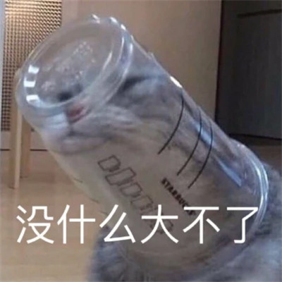 表情包大全2025