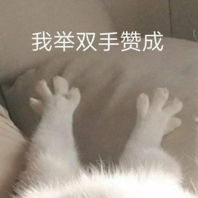 表情包大全2025