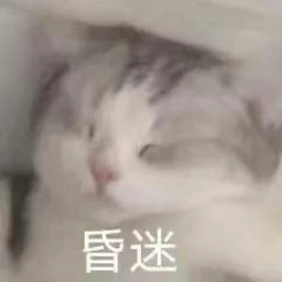 表情包大全2025