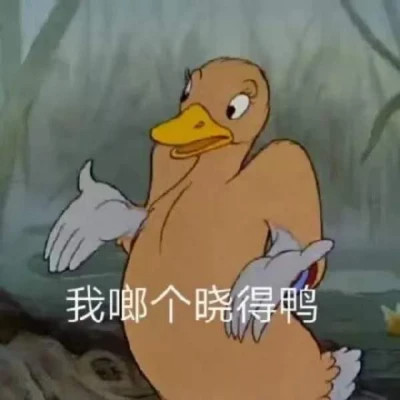 表情包大全2025