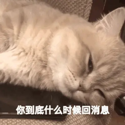 2025表情图片