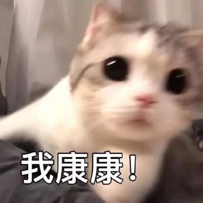 2025表情图片