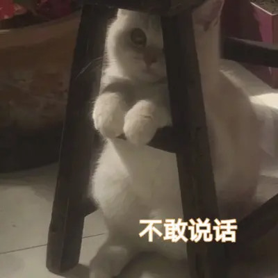 2025表情图片