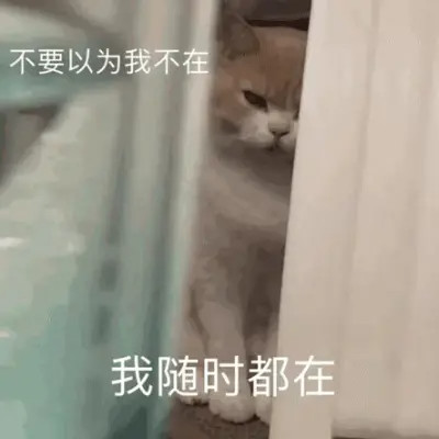 2025表情图片