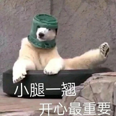 2025表情图片
