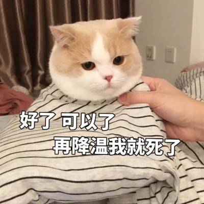 2025表情图片