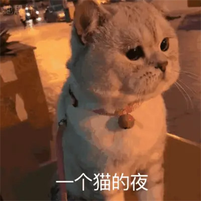 2025表情图片