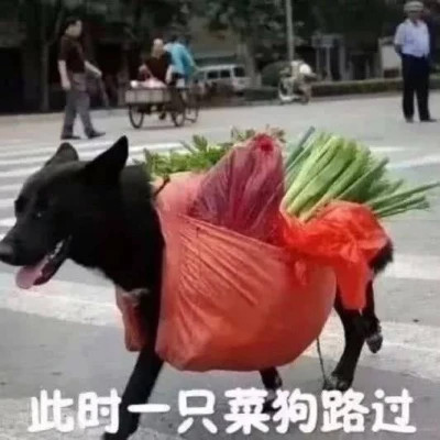 2025表情图片